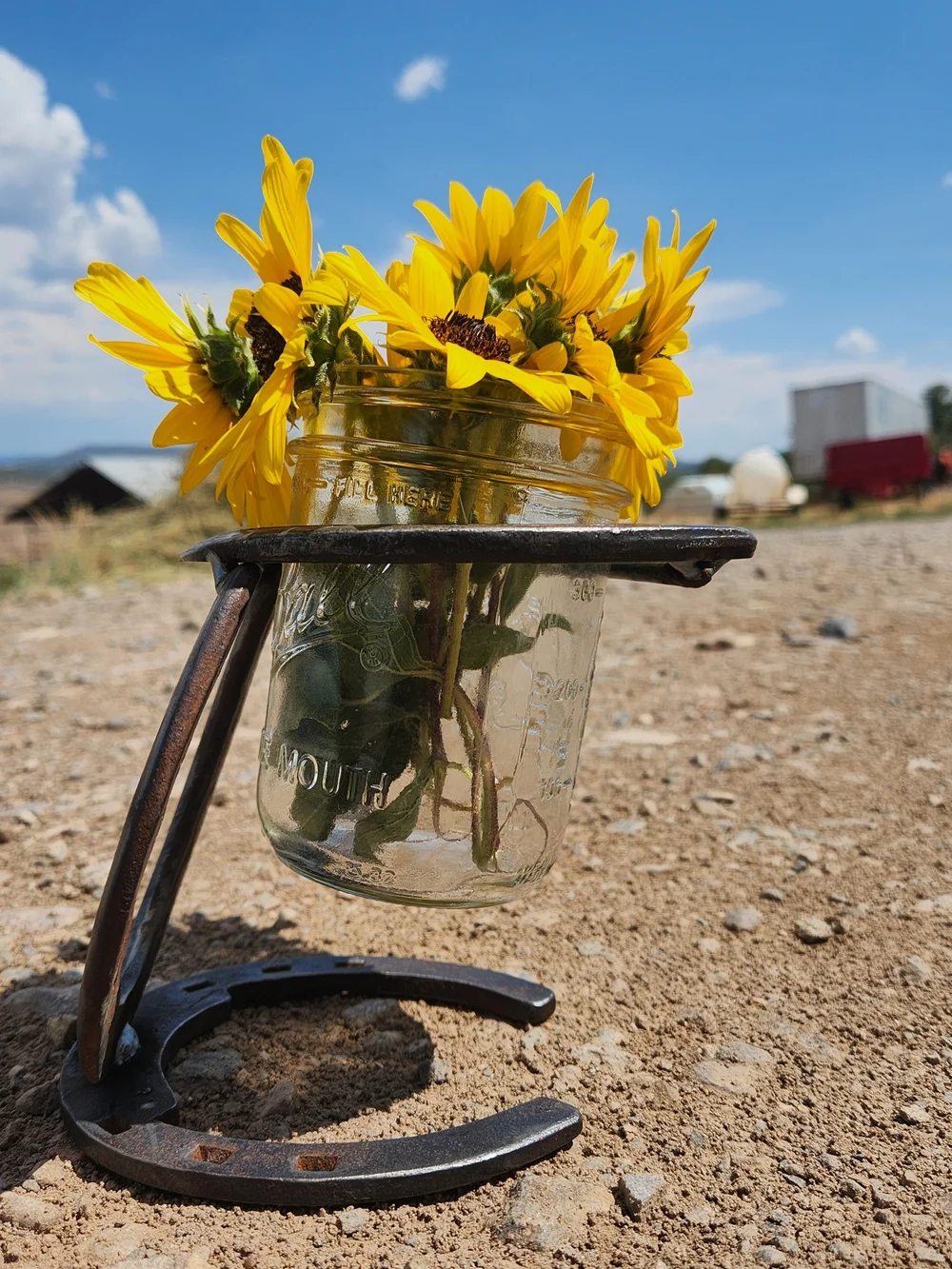 Rustic Horseshoe Mason Jar Vase - Yellow Sunflower Accent